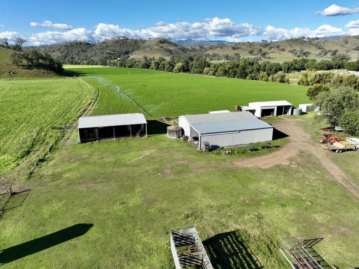 Hunter Road Moonan Flat (Via), Scone Auction by Farmbuy.com - image 22