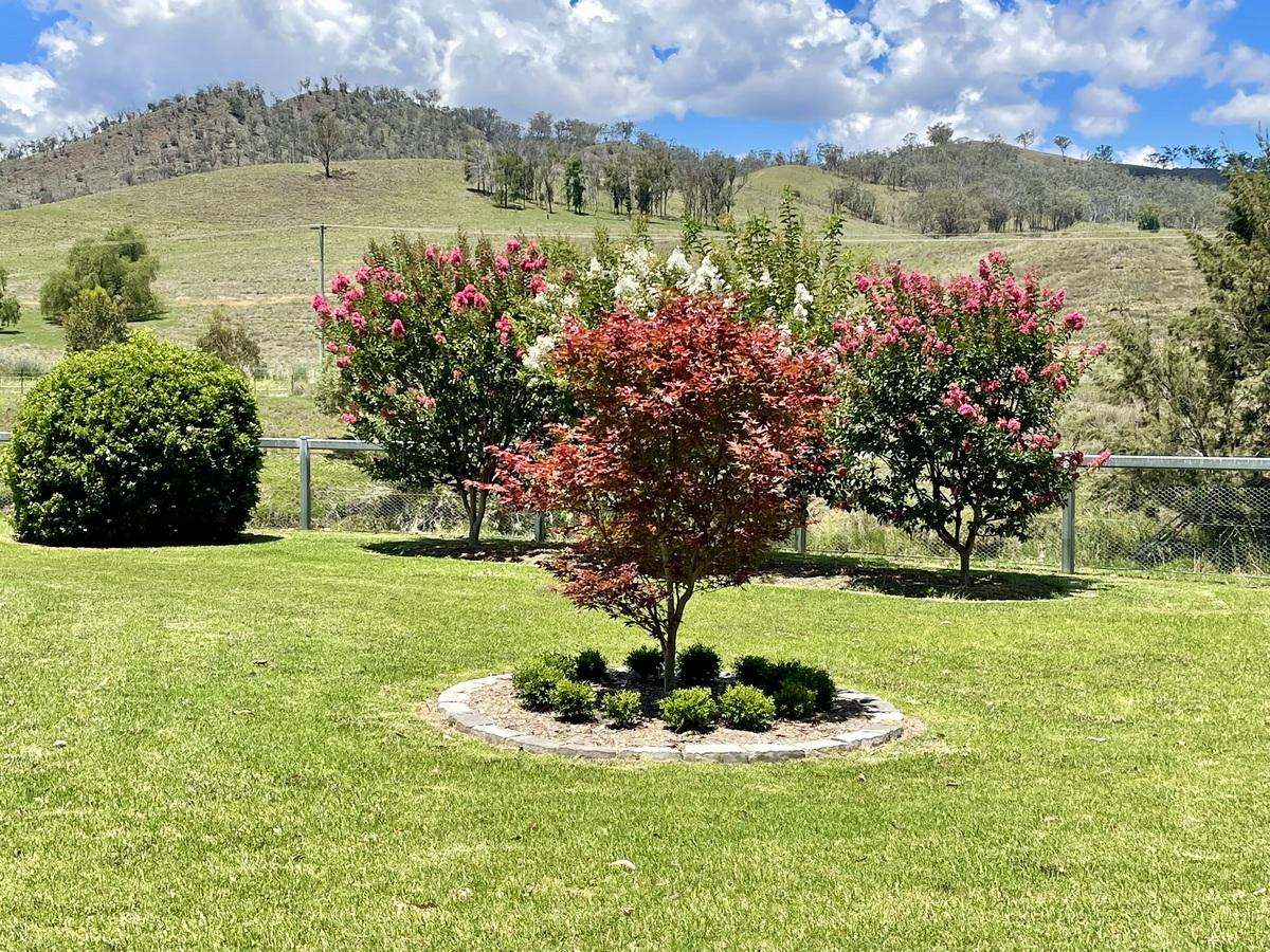 Hunter Road Moonan Flat (Via), Scone Auction by Farmbuy.com - image 23