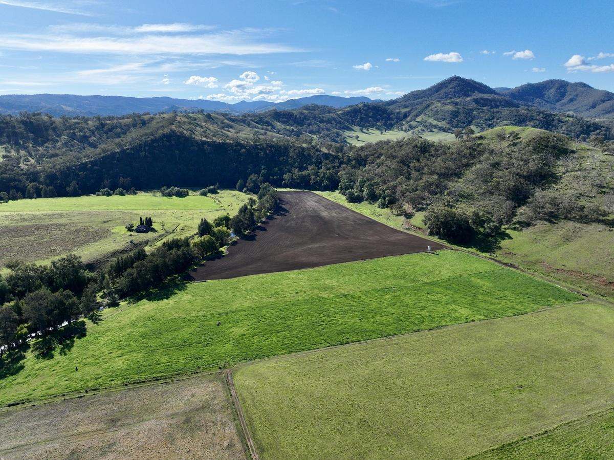 Hunter Road Moonan Flat (Via), Scone Auction by Farmbuy.com - image 3