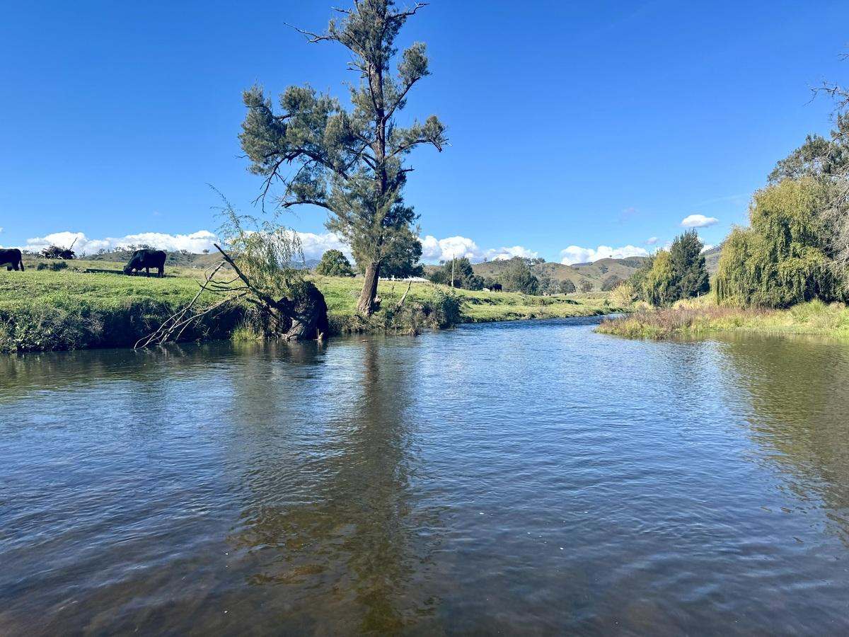 Hunter Road Moonan Flat (Via), Scone Auction by Farmbuy.com - image 28