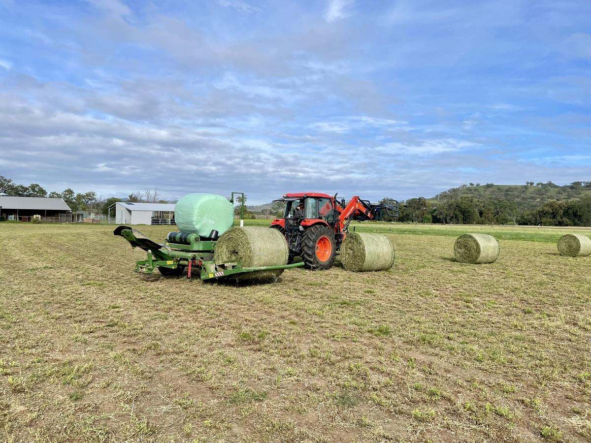 Hunter Road Moonan Flat (Via), Scone Auction by Farmbuy.com - image 21