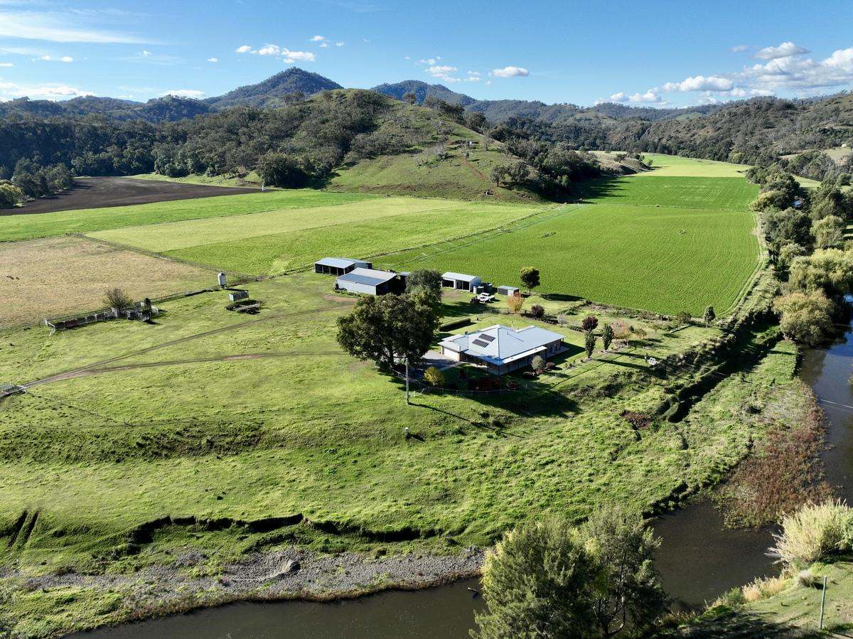 Hunter Road Moonan Flat (Via), Scone Auction by Farmbuy.com - image 5