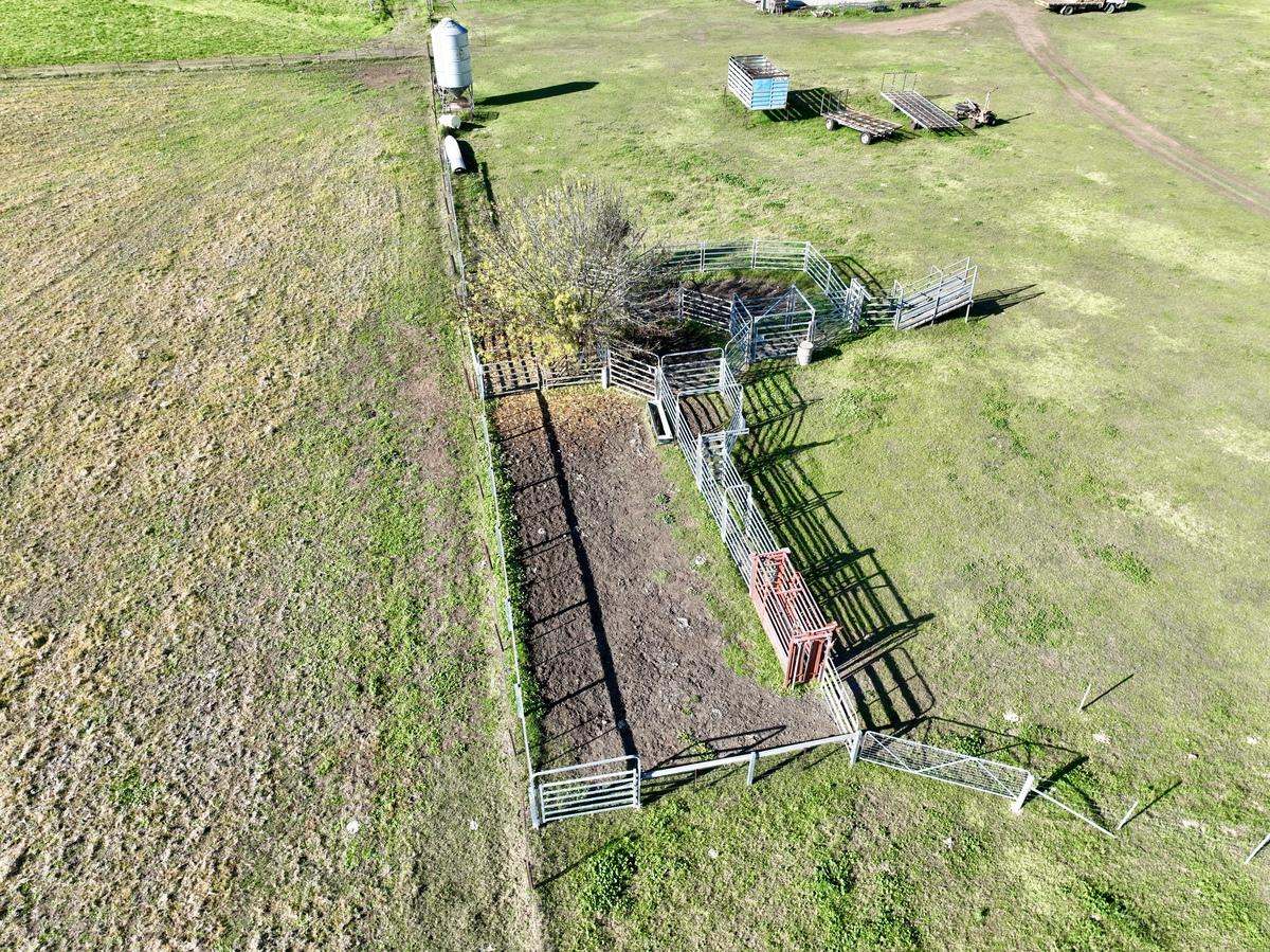 Hunter Road Moonan Flat (Via), Scone Auction by Farmbuy.com - image 24