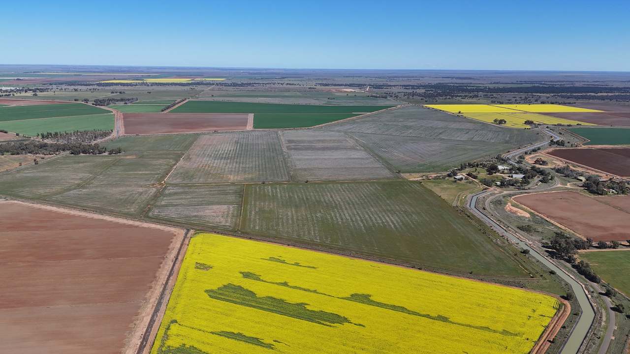 Farm 205 Fairlie Grange Road, Coleambally For Sale by Farmbuy.com - image 7