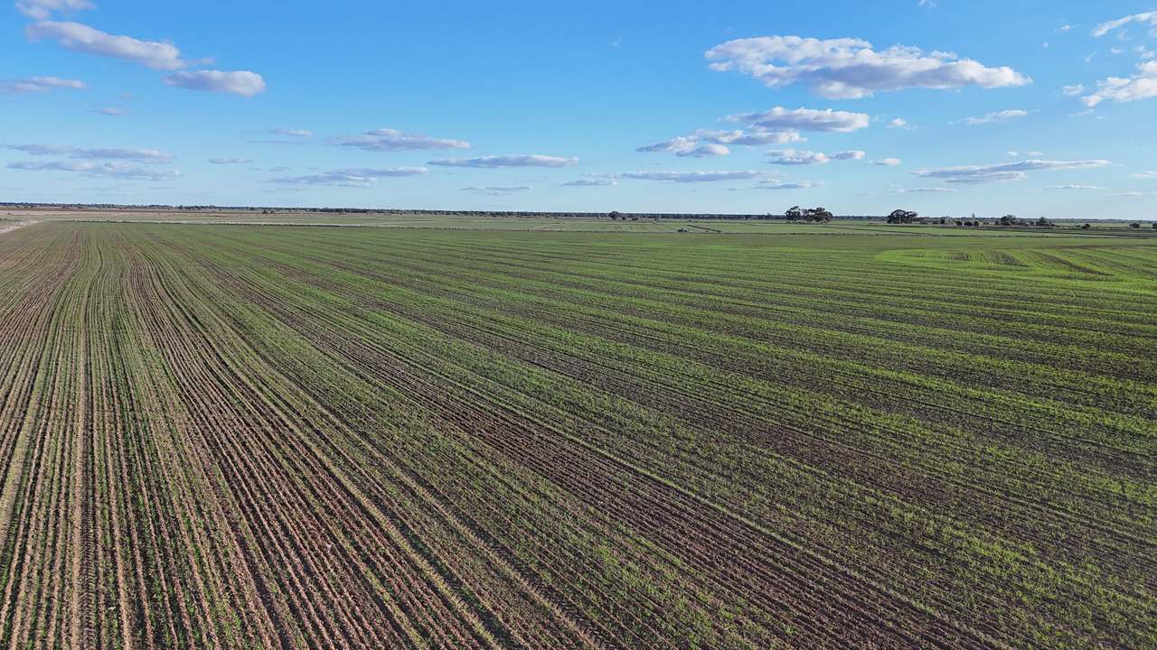 Farm 205 Fairlie Grange Road, Coleambally For Sale by Farmbuy.com - image 19