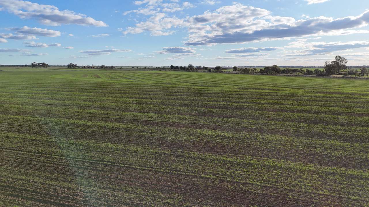 Farm 205 Fairlie Grange Road, Coleambally For Sale by Farmbuy.com - image 18