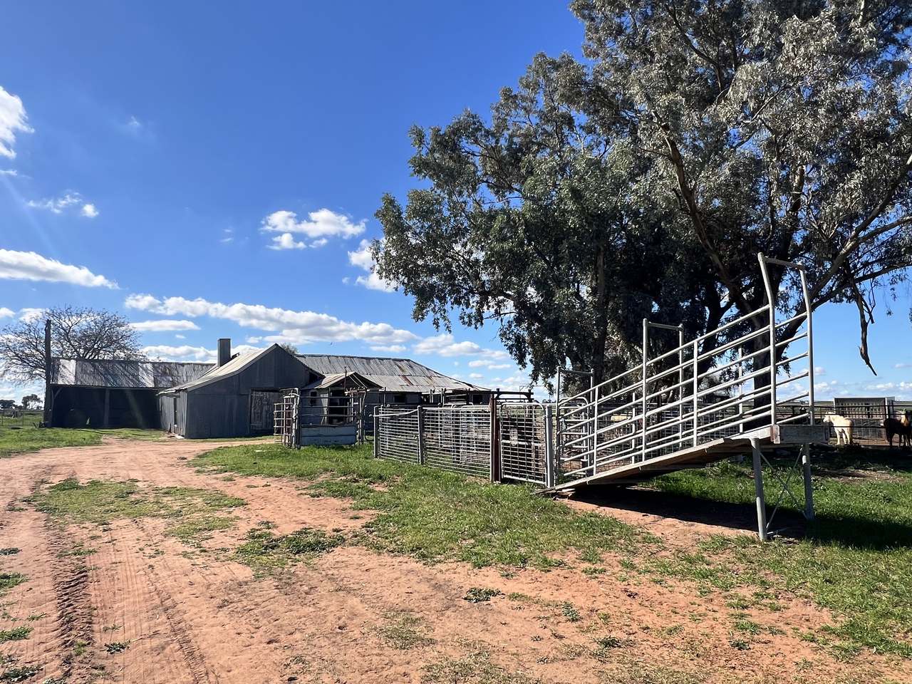 Farm 205 Fairlie Grange Road, Coleambally For Sale by Farmbuy.com - image 25