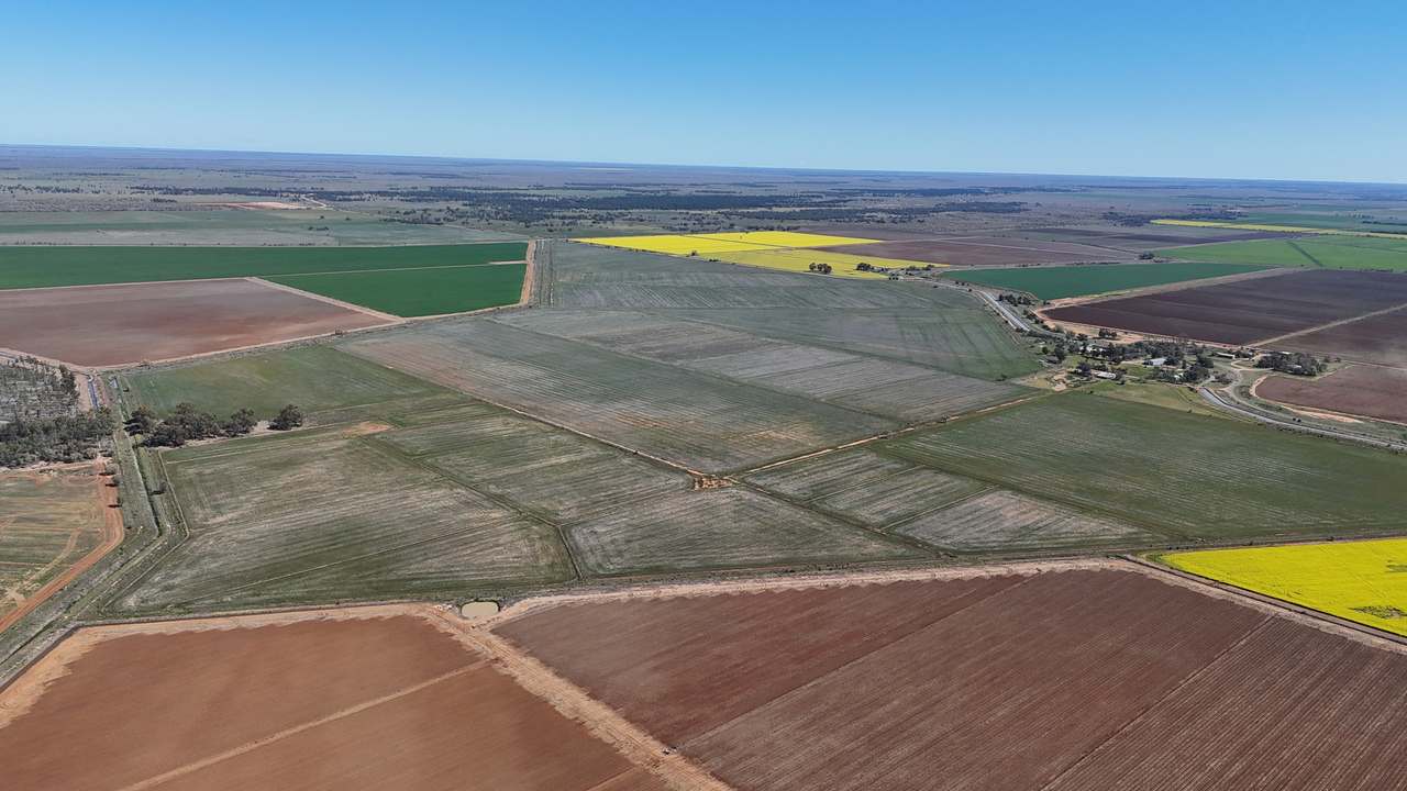Farm 205 Fairlie Grange Road, Coleambally For Sale by Farmbuy.com - image 6