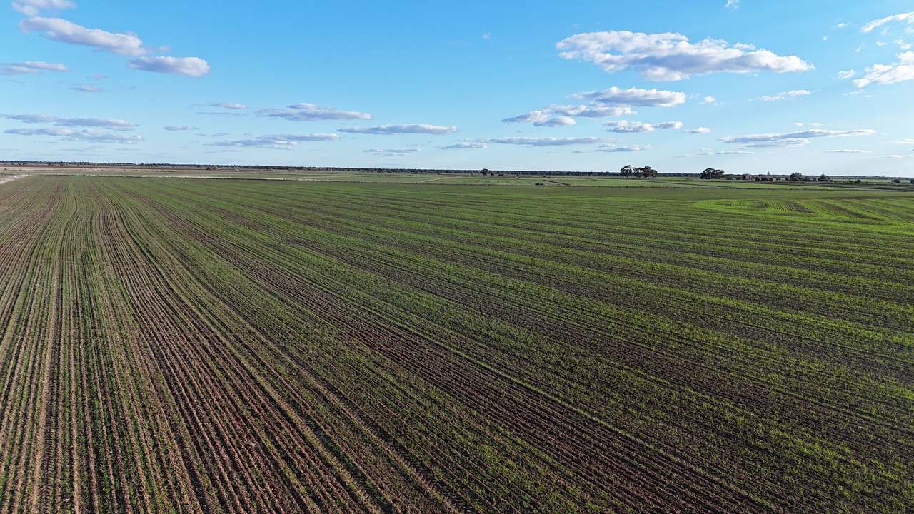 Farm 205 Fairlie Grange Road, Coleambally For Sale by Farmbuy.com - image 20