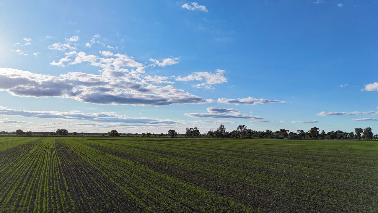 Farm 205 Fairlie Grange Road, Coleambally For Sale by Farmbuy.com - image 22