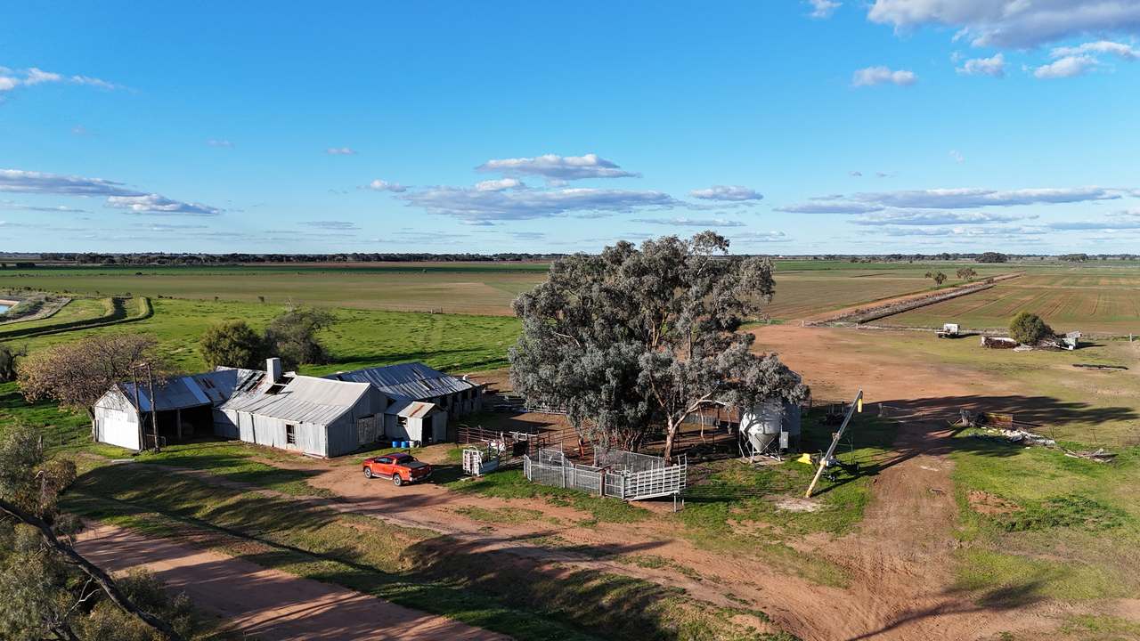 Farm 205 Fairlie Grange Road, Coleambally For Sale by Farmbuy.com - image 13