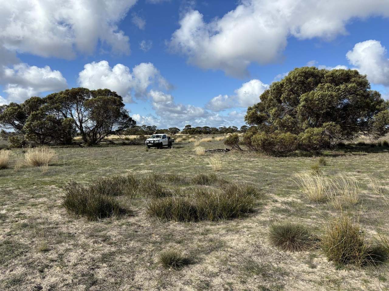 NHILL-MURRAYVILLE ROAD, YANAC, Nhill Sold by Farmbuy.com - image 25