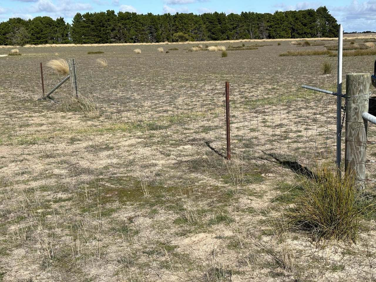 NHILL-MURRAYVILLE ROAD, YANAC, Nhill Sold by Farmbuy.com - image 18
