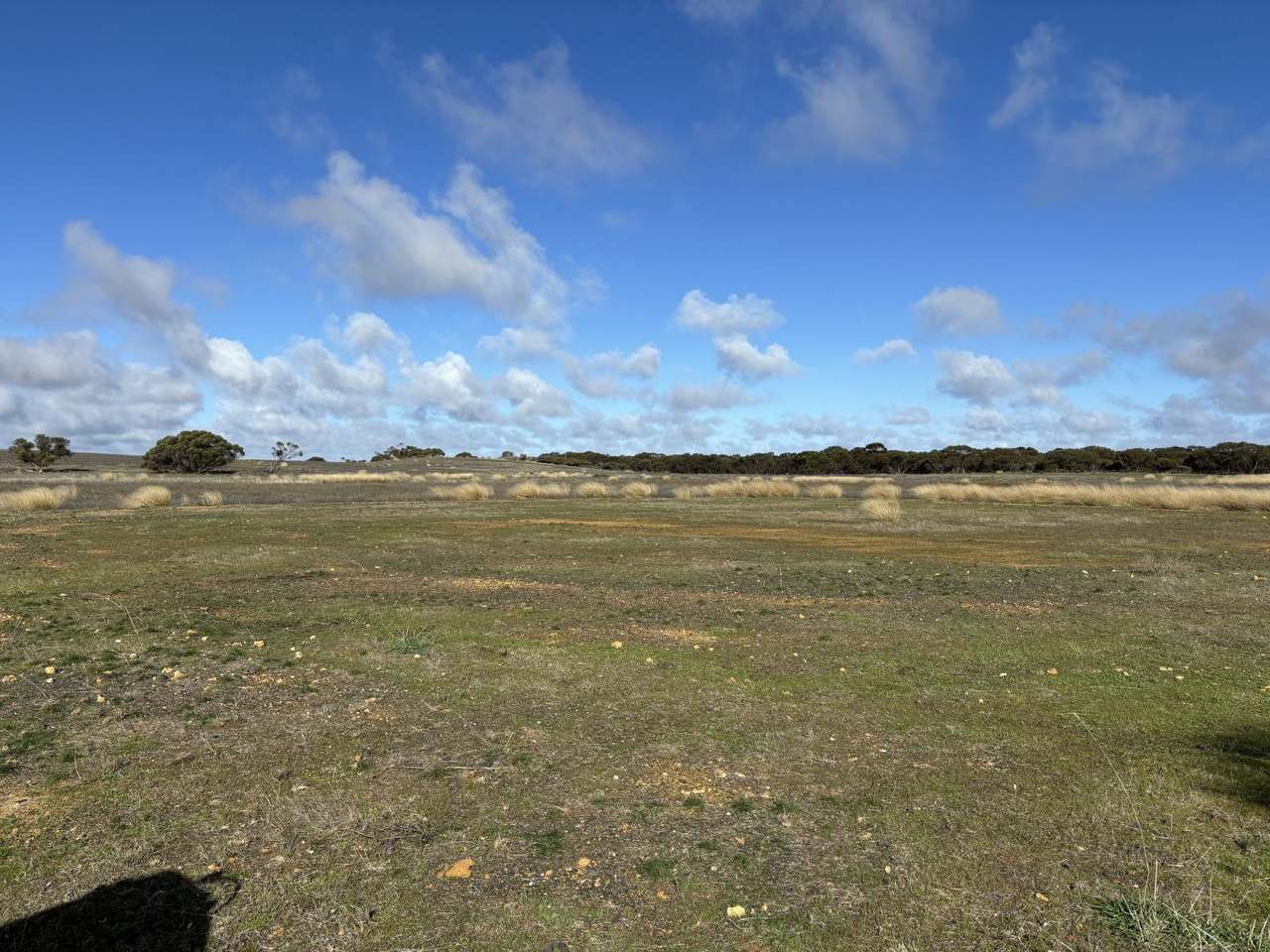 NHILL-MURRAYVILLE ROAD, YANAC, Nhill Sold by Farmbuy.com - image 9