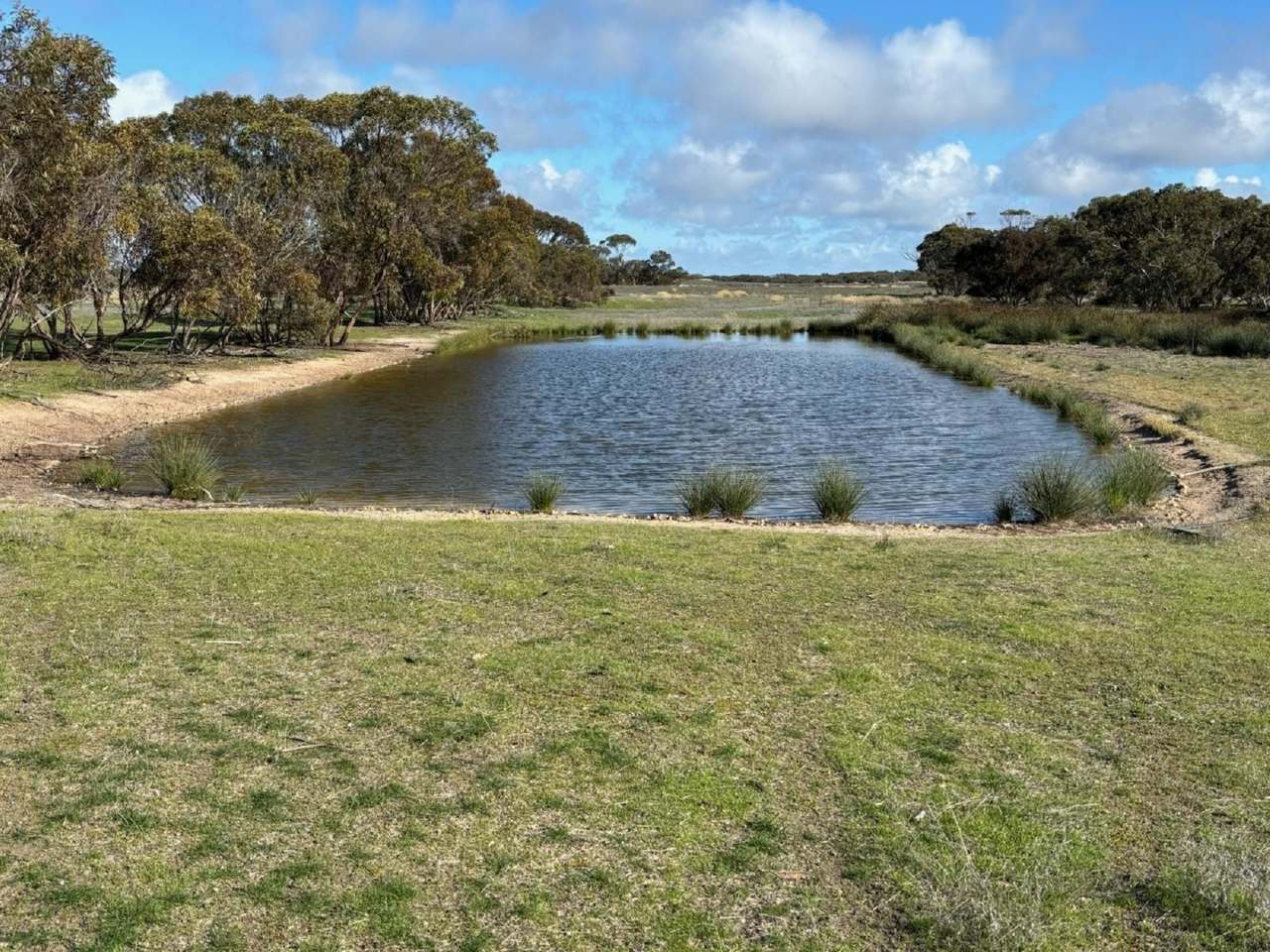 NHILL-MURRAYVILLE ROAD, YANAC, Nhill Sold by Farmbuy.com - image 10