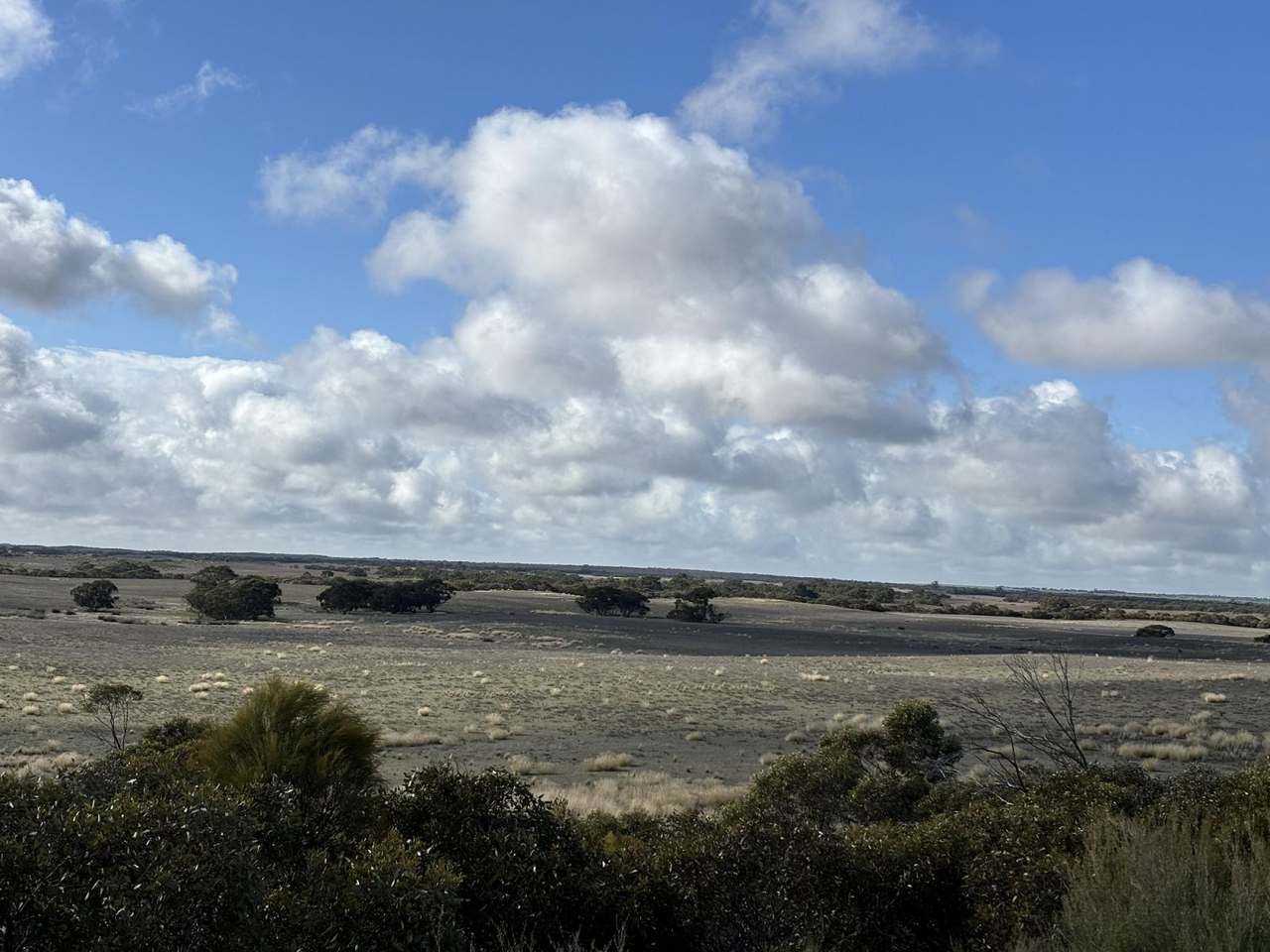 NHILL-MURRAYVILLE ROAD, YANAC, Nhill Sold by Farmbuy.com - image 14