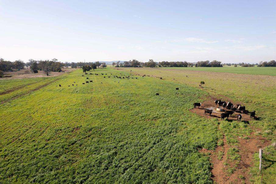 607 Fairfield Road, WILLALA Sold by Farmbuy.com - image 14