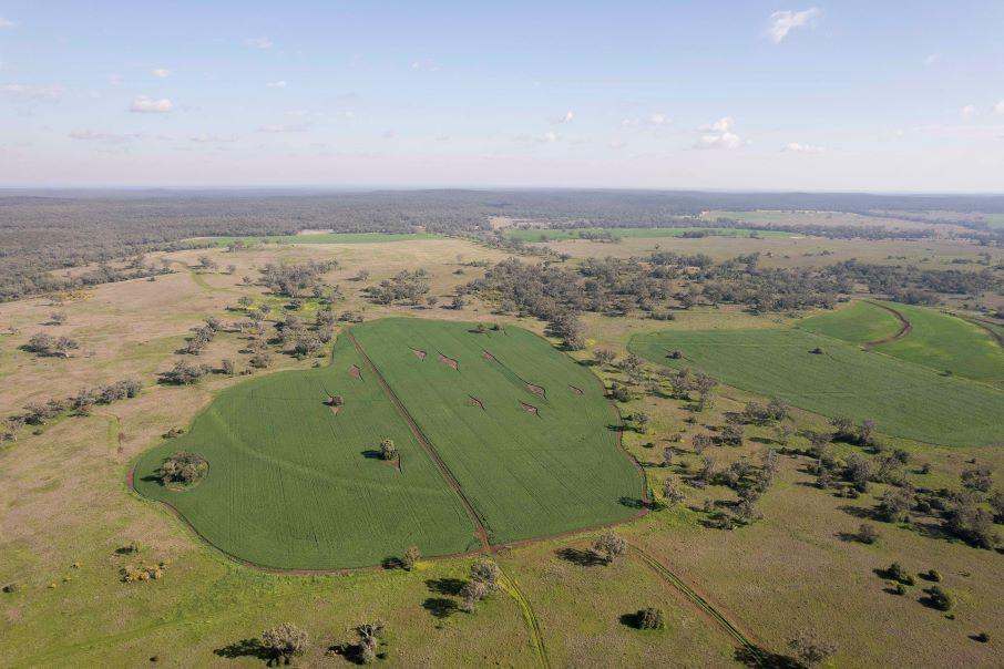 607 Fairfield Road, WILLALA Sold by Farmbuy.com - image 12
