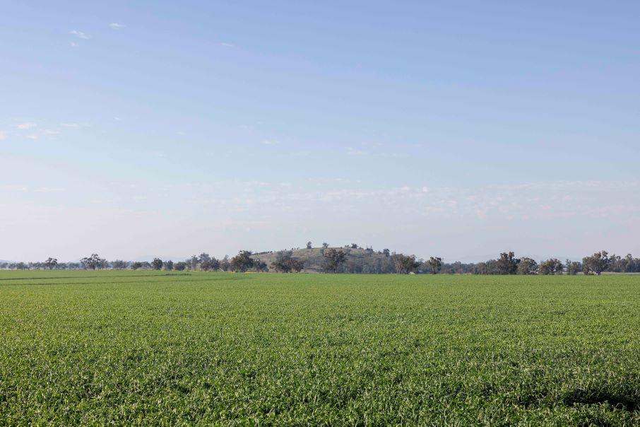 607 Fairfield Road, WILLALA Sold by Farmbuy.com - image 4