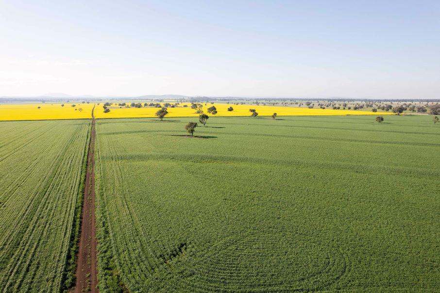 607 Fairfield Road, WILLALA Sold by Farmbuy.com - image 10