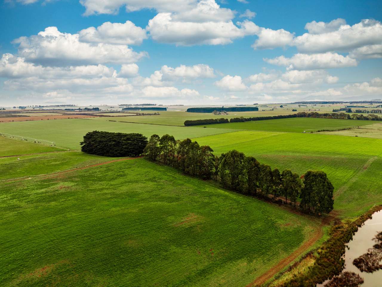 1000 Bishopsbourne Road, Bishopsbourne  Sold by Farmbuy.com - image 4