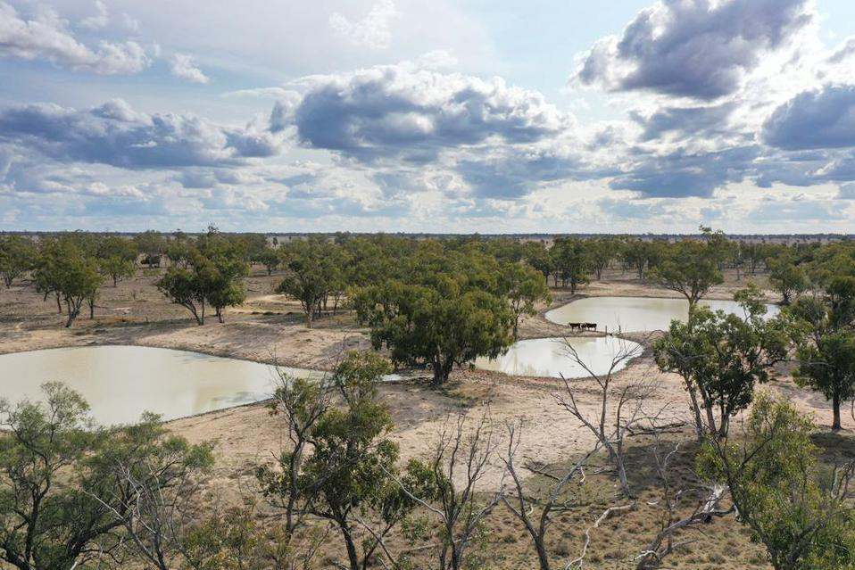 2538 Unity Road, St George Auction by Farmbuy.com - image 11