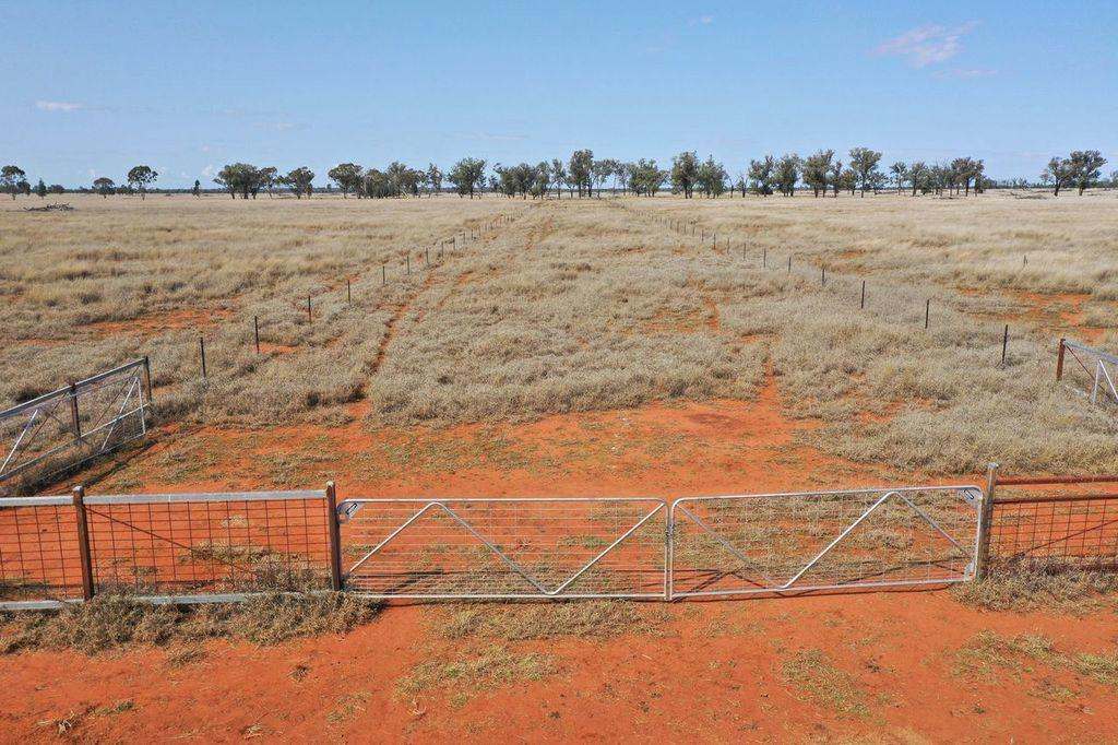 2538 Unity Road, St George Auction by Farmbuy.com - image 5