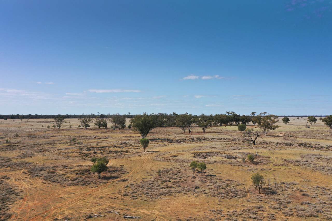 2538 Unity Road, St George Auction by Farmbuy.com - image 4