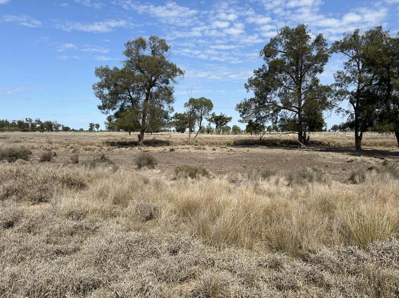 2538 Unity Road, St George Auction by Farmbuy.com - image 8