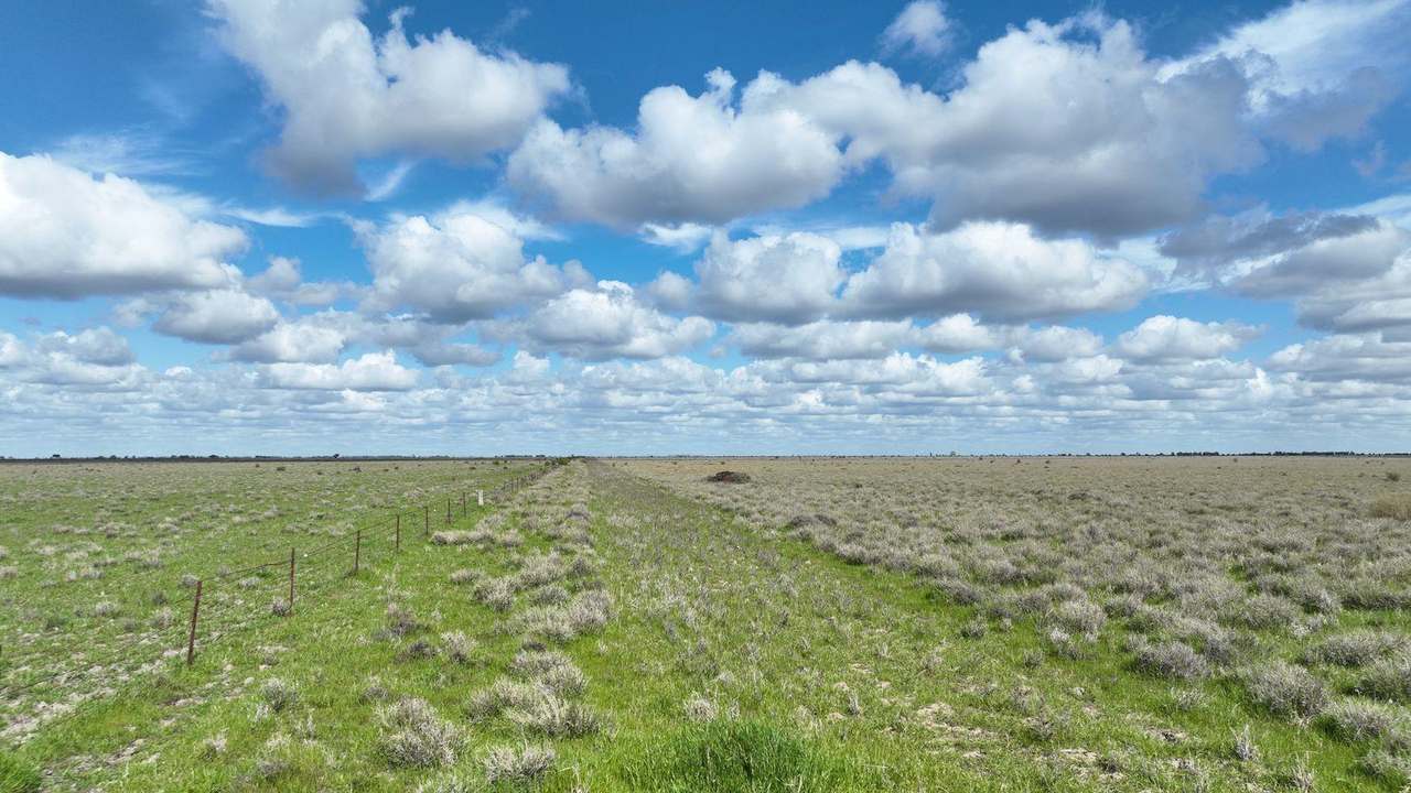 Carrathool Road, Carrathool Auction by Farmbuy.com - image 8