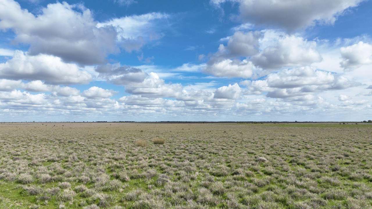 Carrathool Road, Carrathool Auction by Farmbuy.com - image 9