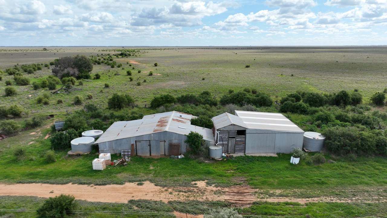 Carrathool Road, Carrathool Auction by Farmbuy.com - image 4