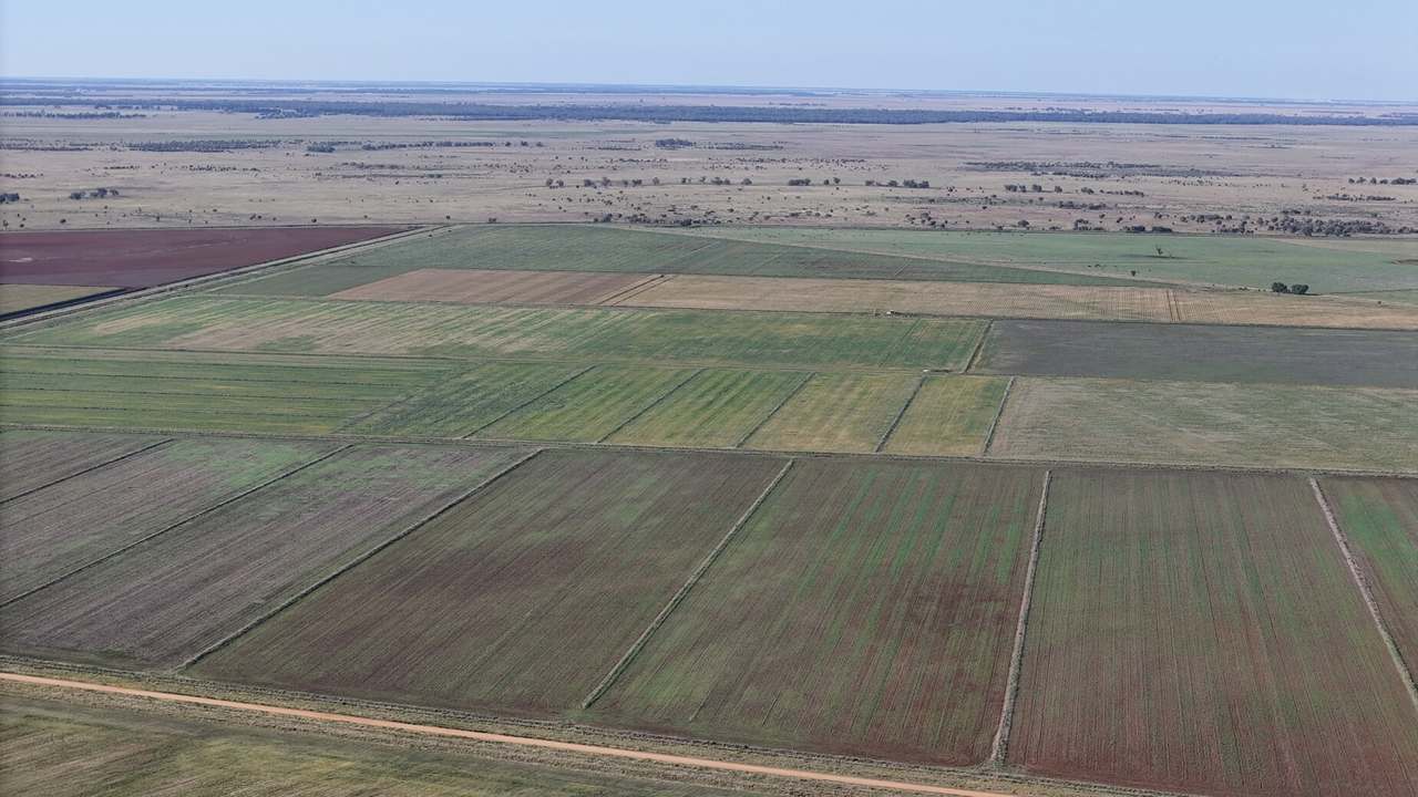 Lots 69 & 70 Leonard Road, Coleambally For Sale by Farmbuy.com - image 2
