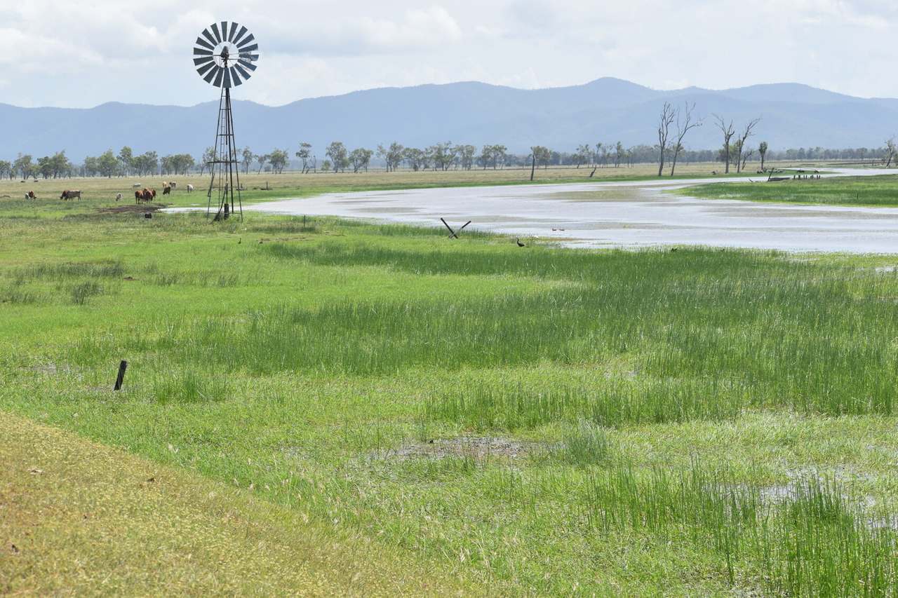 Casuarina Road, Midgee For Sale by Farmbuy.com - image 14