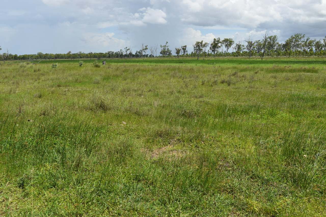 Casuarina Road, Midgee For Sale by Farmbuy.com - image 7