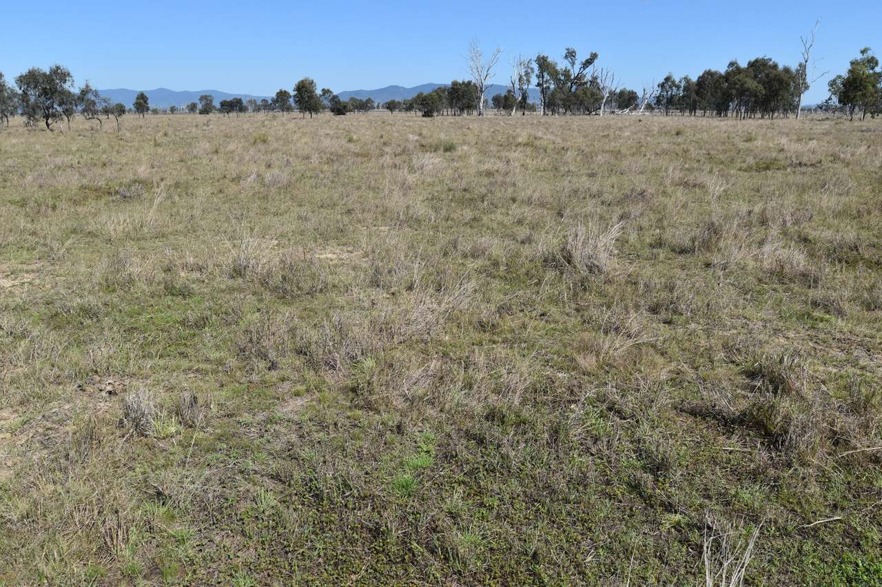 Casuarina Road, Midgee For Sale by Farmbuy.com - image 6