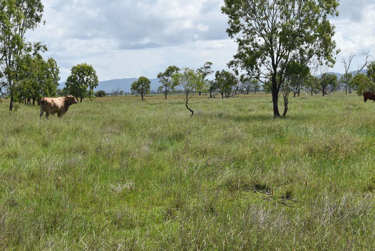 Casuarina Road, Midgee For Sale by Farmbuy.com - image 9