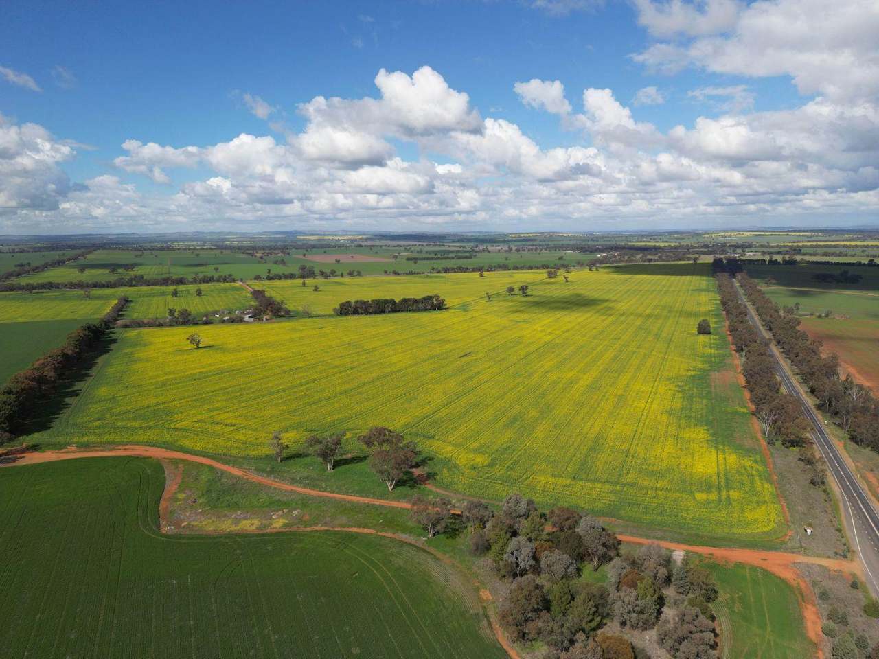 85 Marrar South Road, Downside  For Sale by Farmbuy.com - image 3