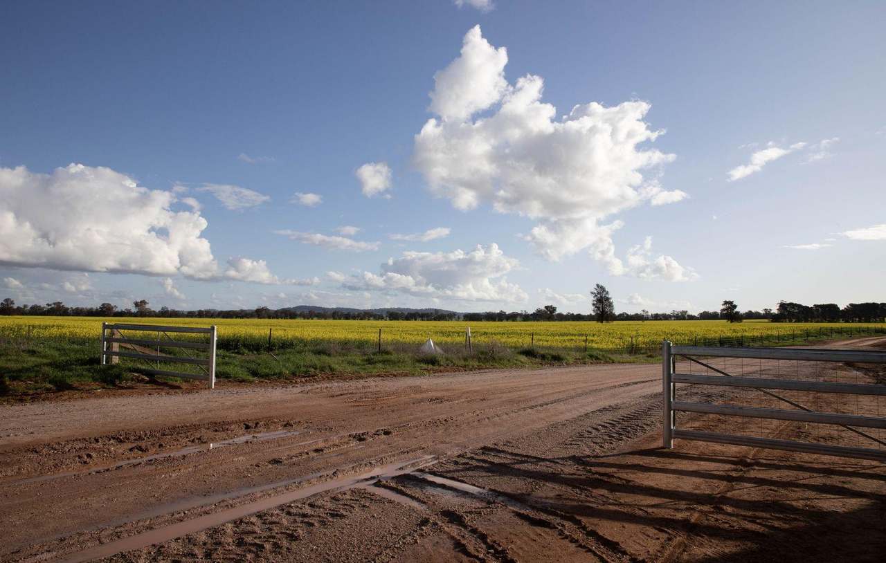 85 Marrar South Road, Downside  For Sale by Farmbuy.com - image 24