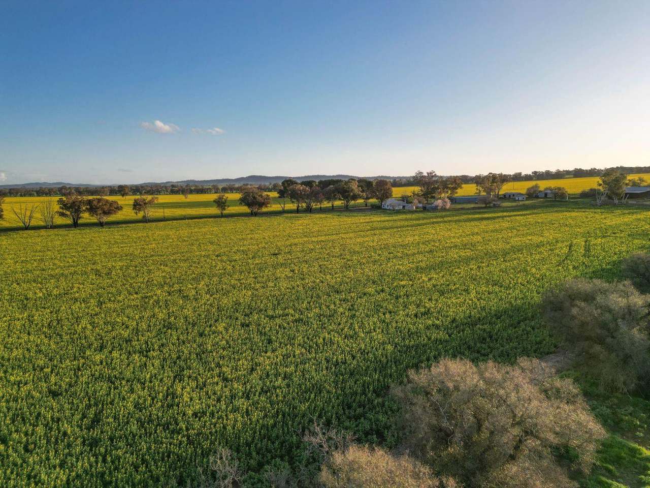 85 Marrar South Road, Downside  For Sale by Farmbuy.com - image 14