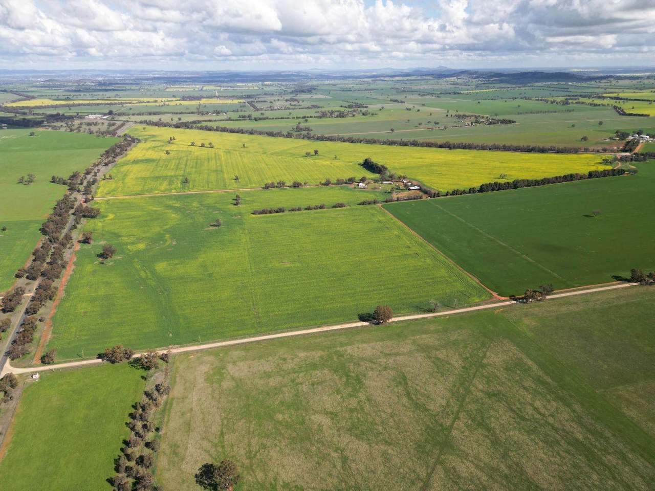 85 Marrar South Road, Downside  For Sale by Farmbuy.com - image 10