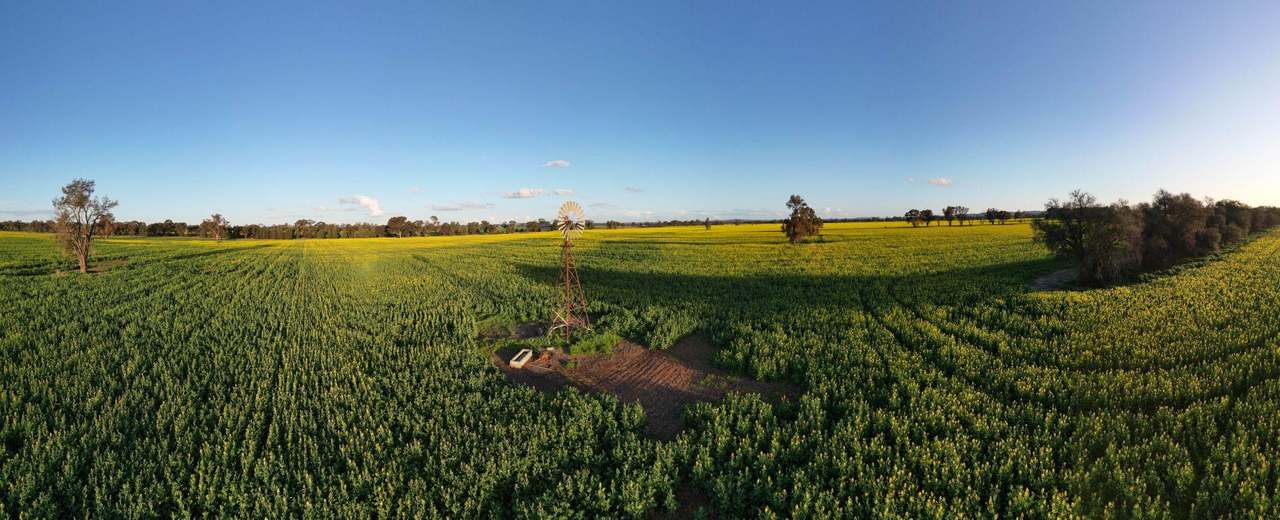 85 Marrar South Road, Downside  For Sale by Farmbuy.com - image 13