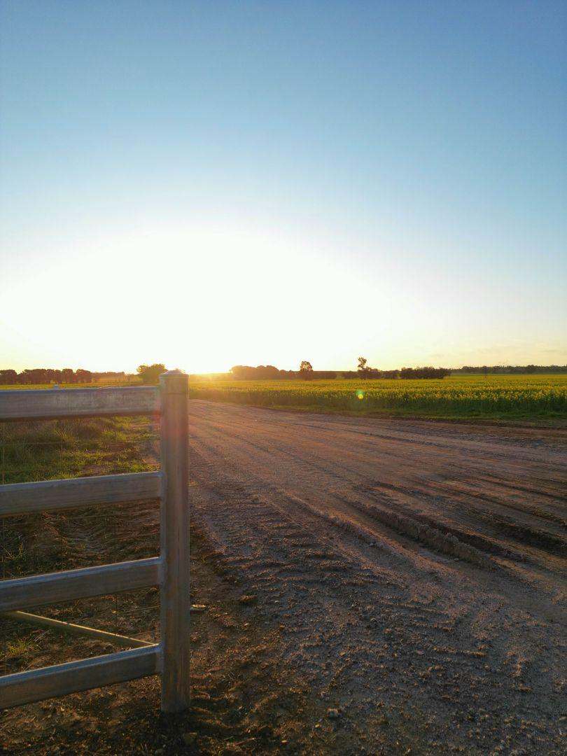 85 Marrar South Road, Downside  For Sale by Farmbuy.com - image 18