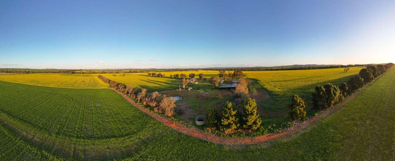 85 Marrar South Road, Downside  For Sale by Farmbuy.com - image 15