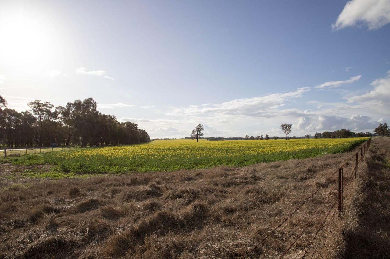 85 Marrar South Road, Downside  For Sale by Farmbuy.com - image 23