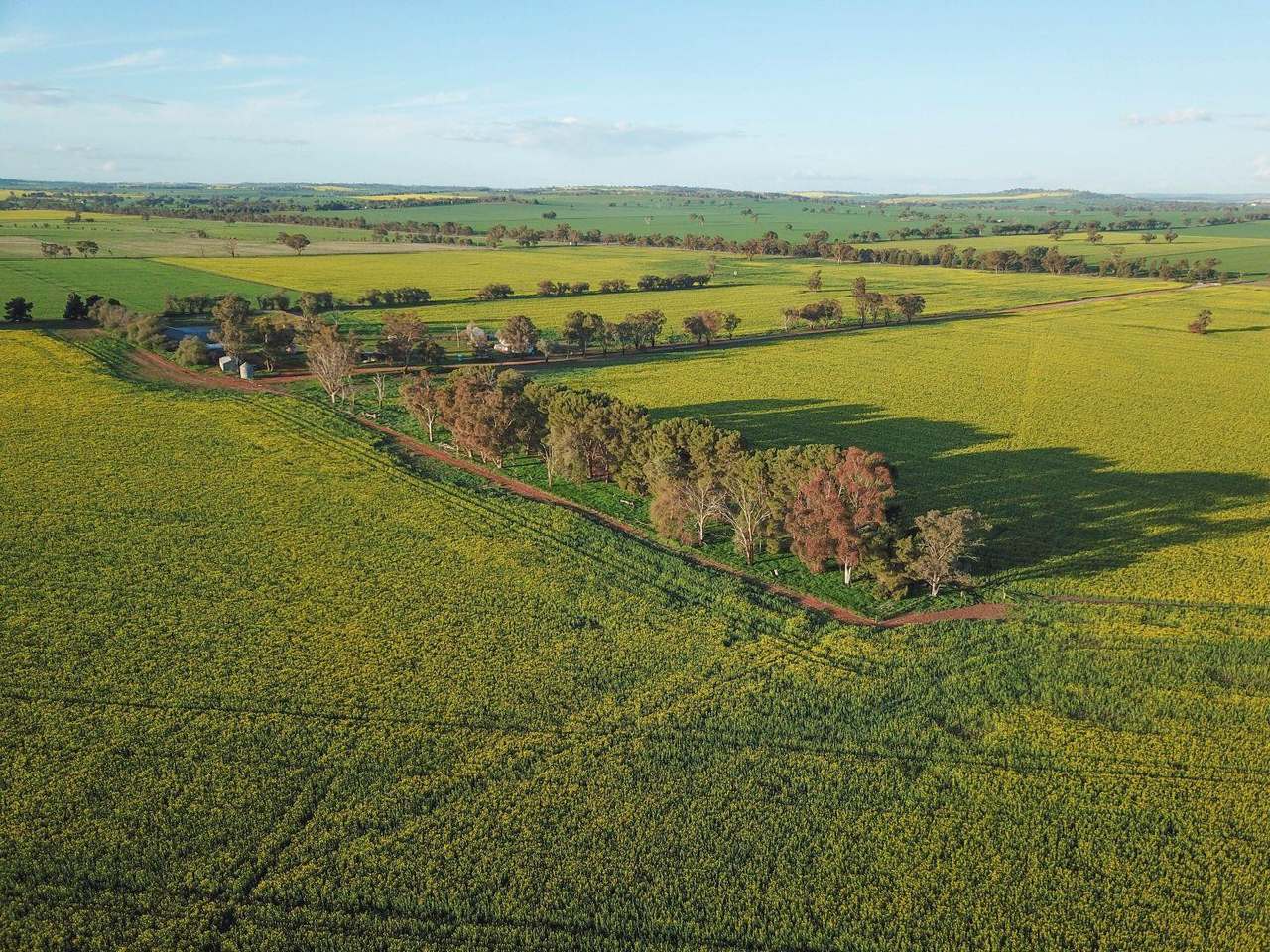 85 Marrar South Road, Downside  For Sale by Farmbuy.com - image 2