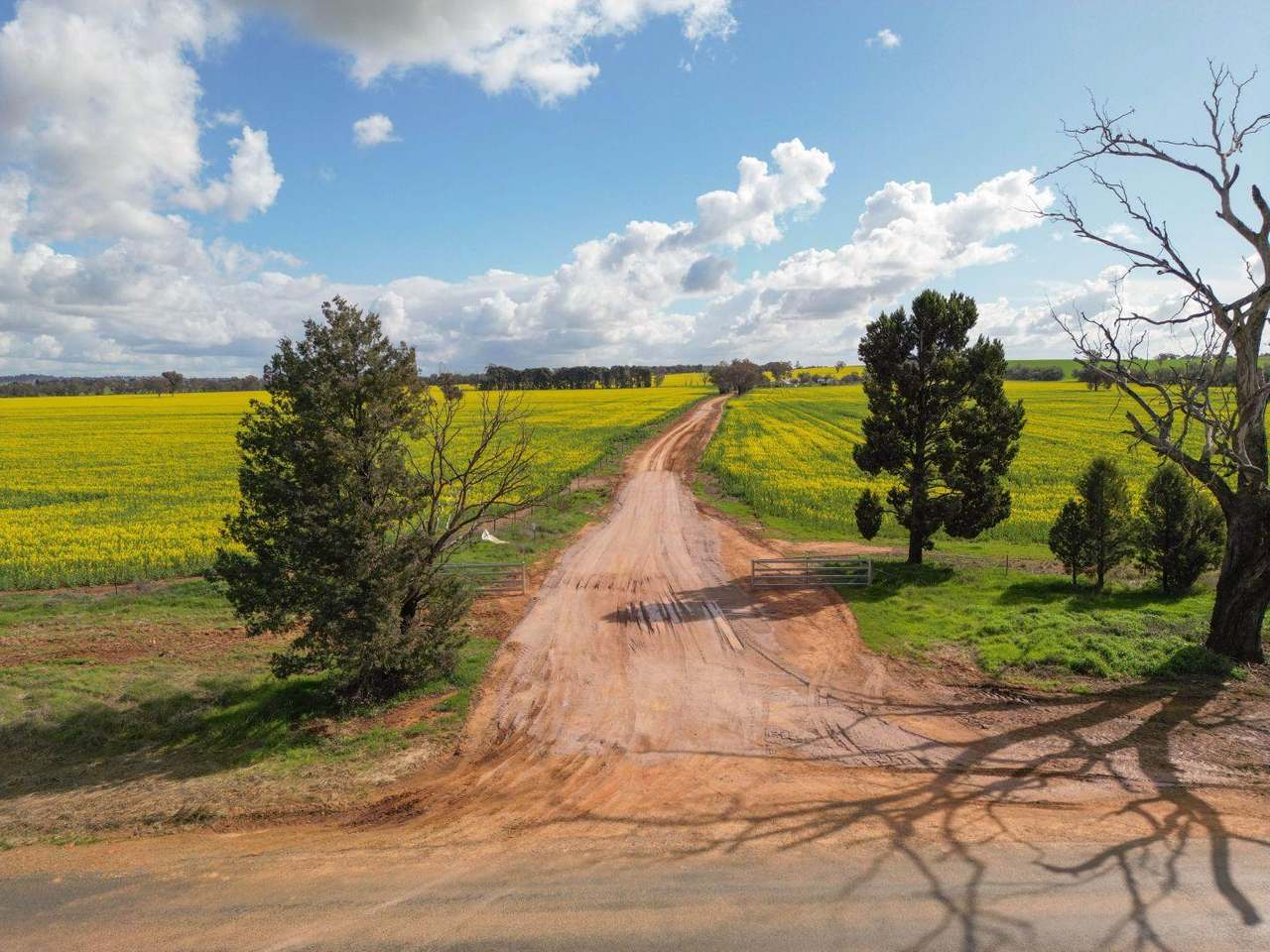 85 Marrar South Road, Downside  For Sale by Farmbuy.com - image 9