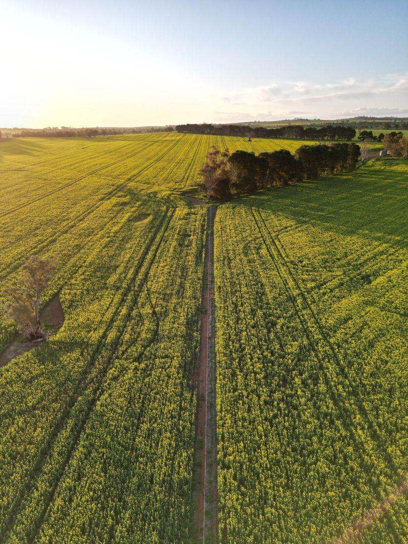 85 Marrar South Road, Downside  For Sale by Farmbuy.com - image 16
