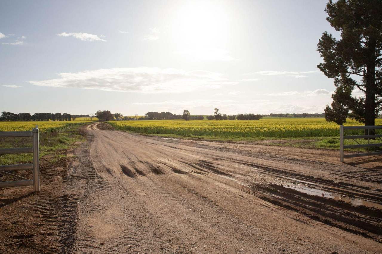 85 Marrar South Road, Downside  For Sale by Farmbuy.com - image 25