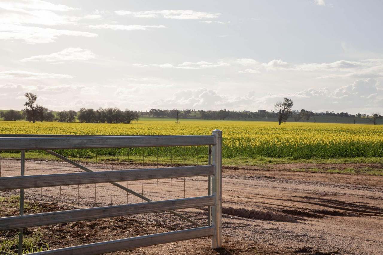 85 Marrar South Road, Downside  For Sale by Farmbuy.com - image 26